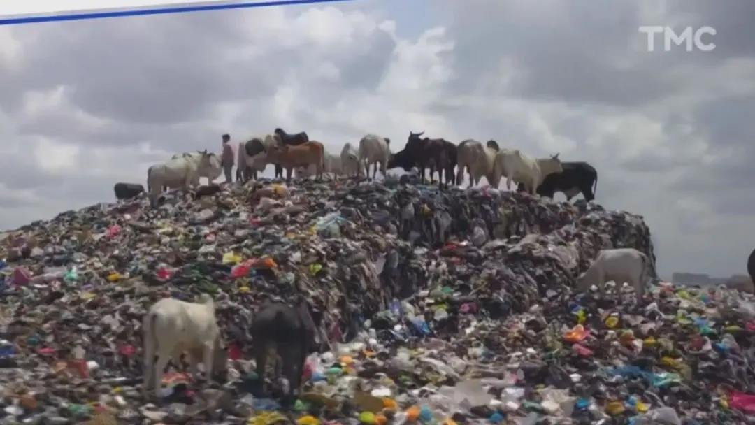 每周1500万件欧洲旧衣待处理！非洲海滩成法国人的「垃圾场」？